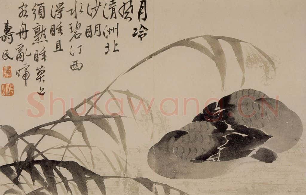 1751年 边寿民《花卉芦雁册》书画作品