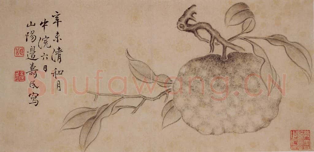1751年 边寿民《杂画册》书画作品