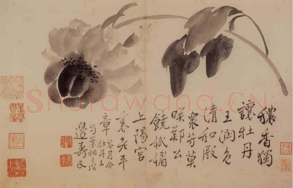 边寿民《花卉册》书画作品