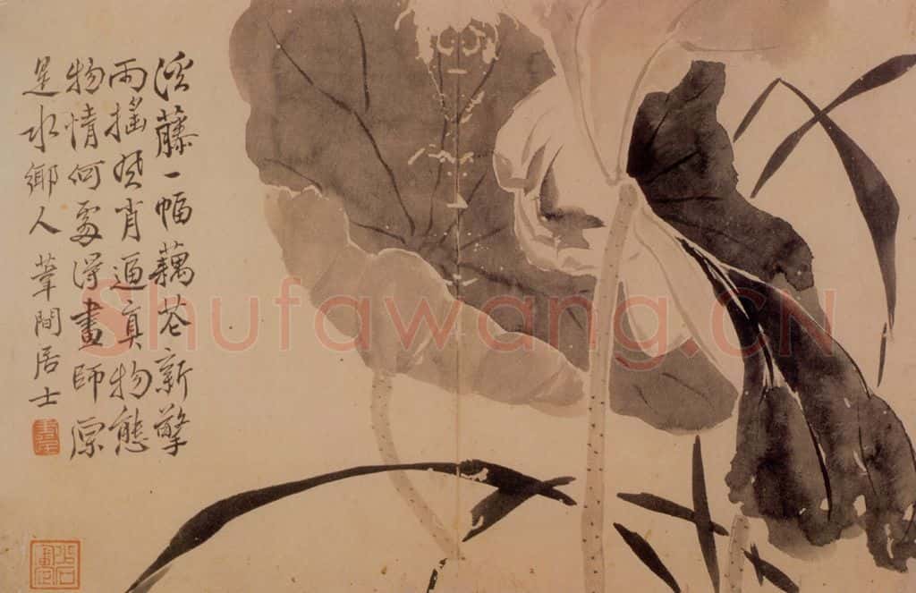  边寿民《花卉册》书画作品