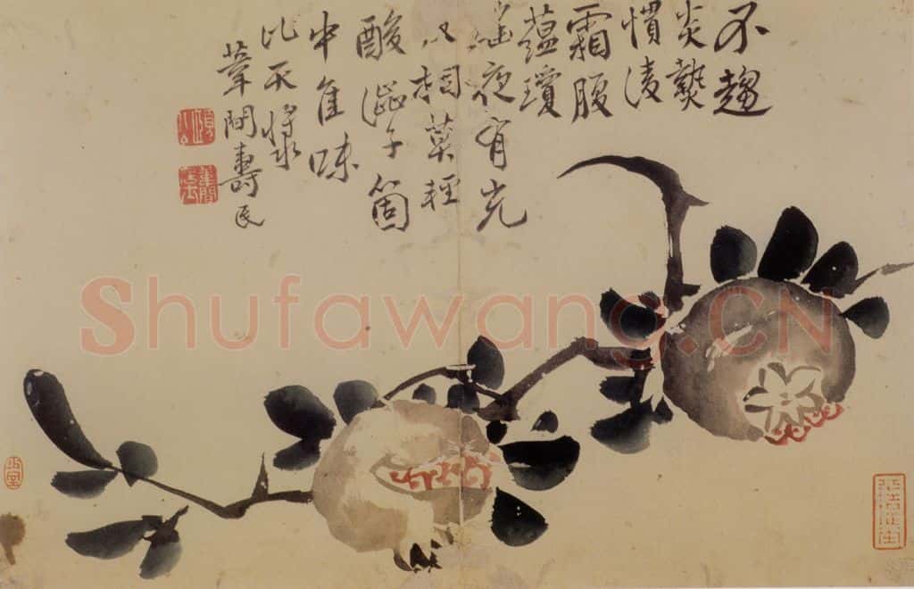 边寿民《花卉册》书画作品