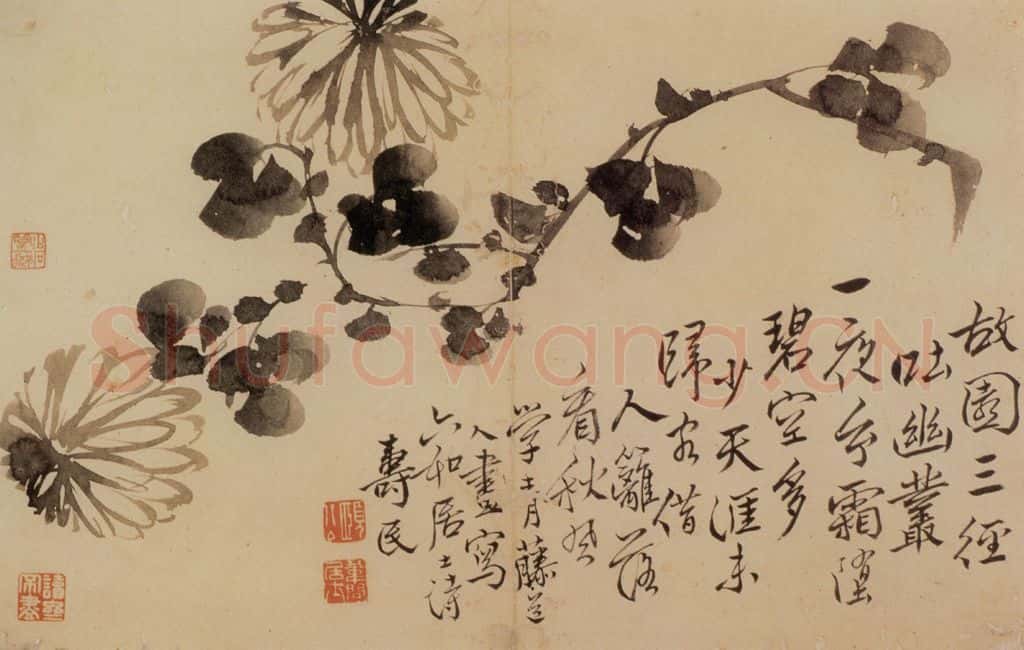  边寿民《花卉册》书画作品