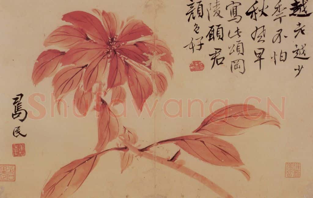 边寿民《花卉册》书画作品