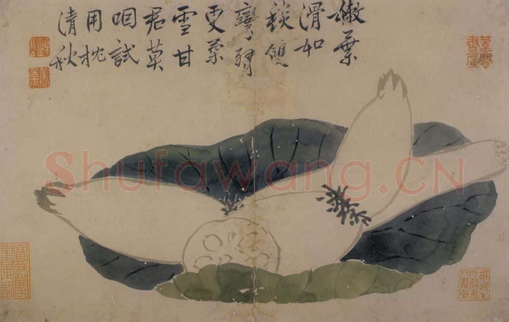  边寿民《花卉册》书画作品