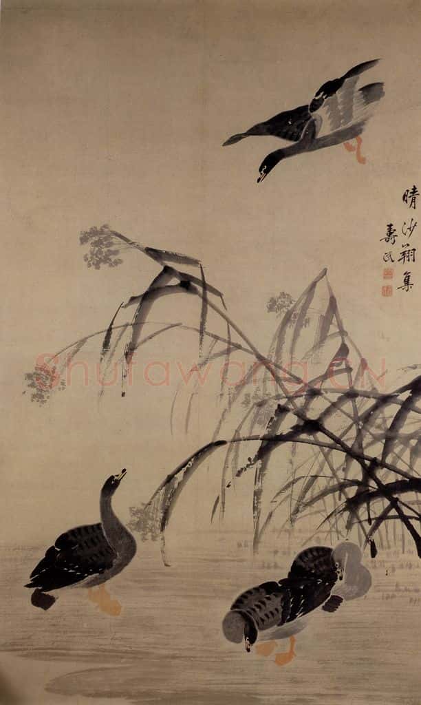  边寿民《晴沙翔集图》书画作品