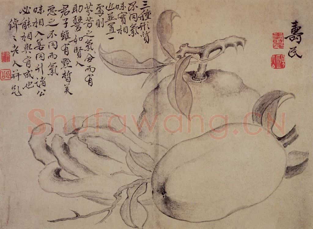 边寿民《白描花果册》书画作品