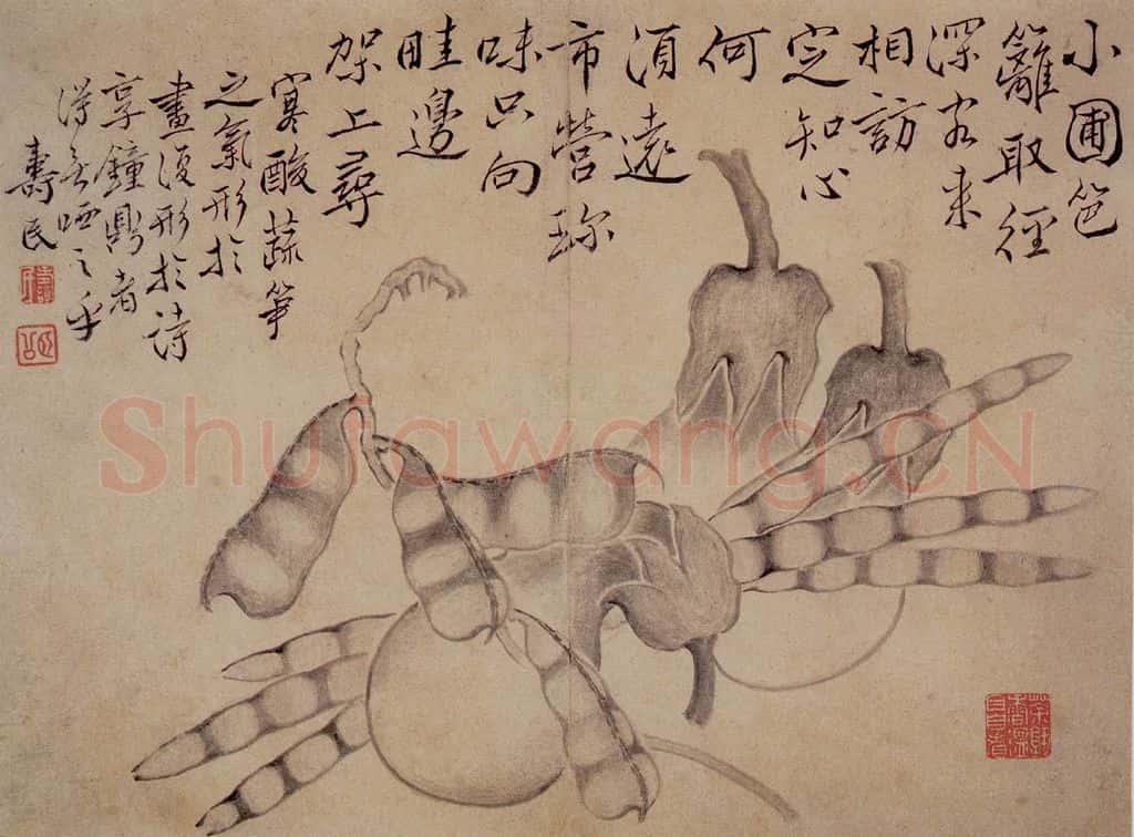 边寿民《白描花果册》书画作品