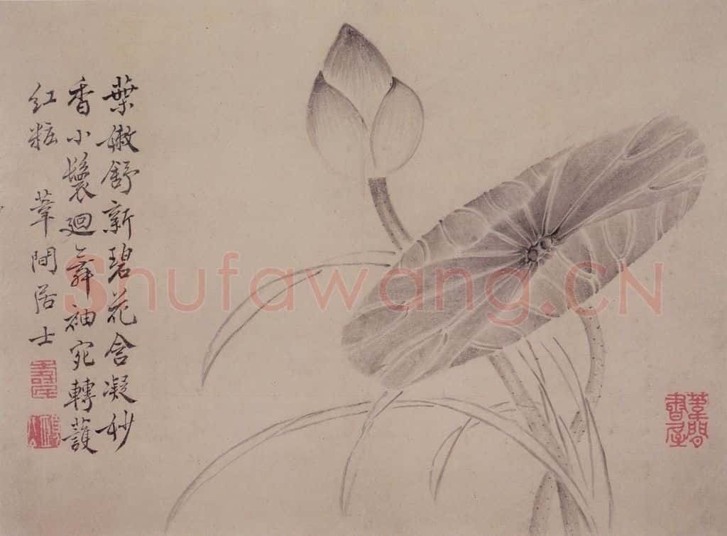  边寿民《白描花果册》书画作品