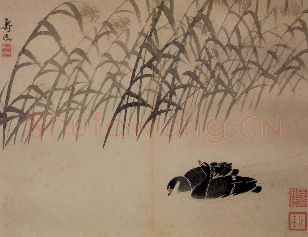 边寿民《芦雁图册》书画作品
