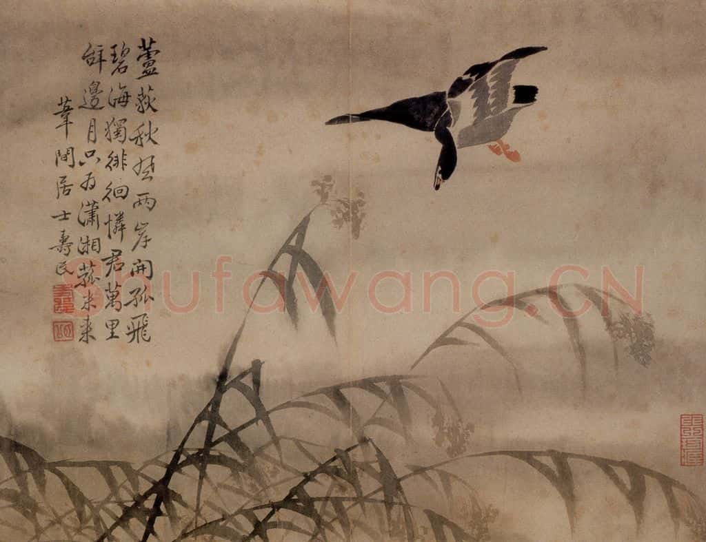 边寿民《芦雁图册》书画作品