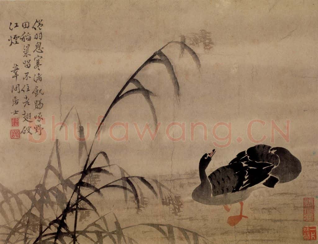边寿民《芦雁图册》书画作品