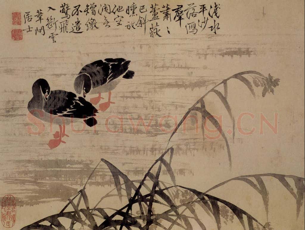  边寿民《芦雁图册》书画作品