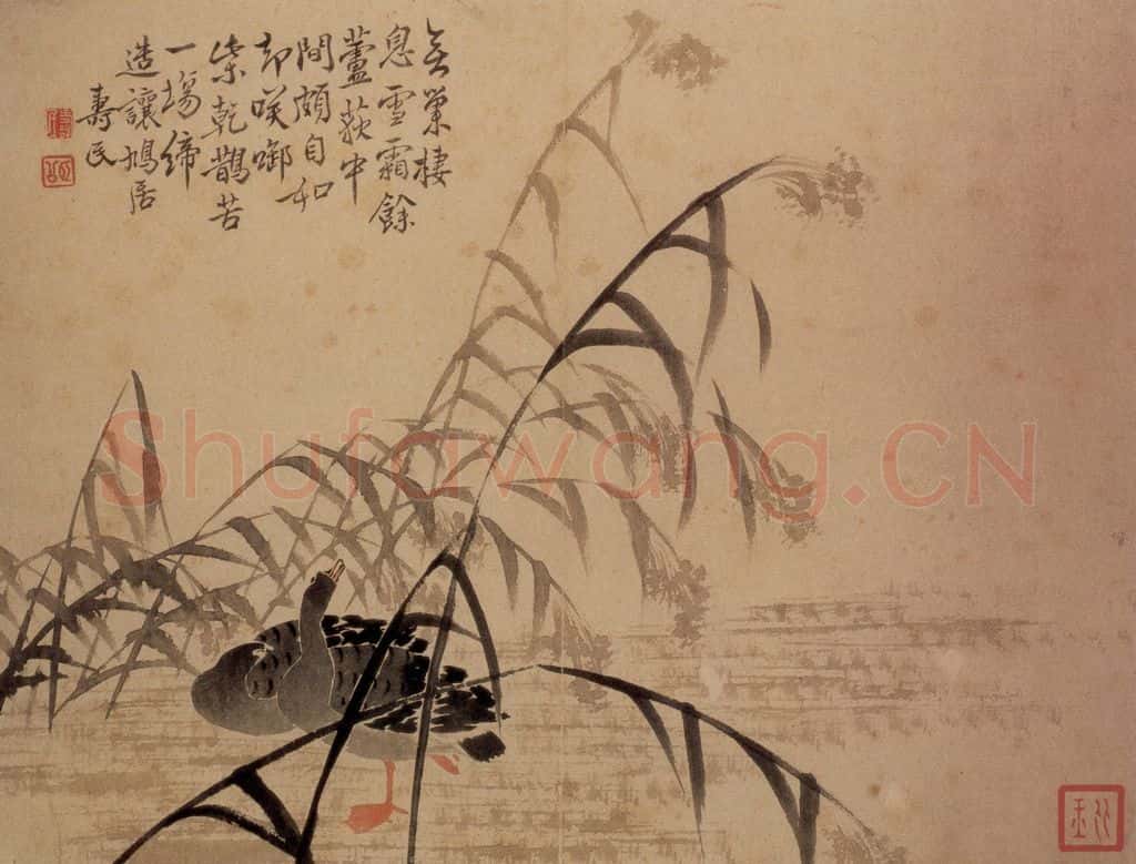  边寿民《芦雁图册》书画作品