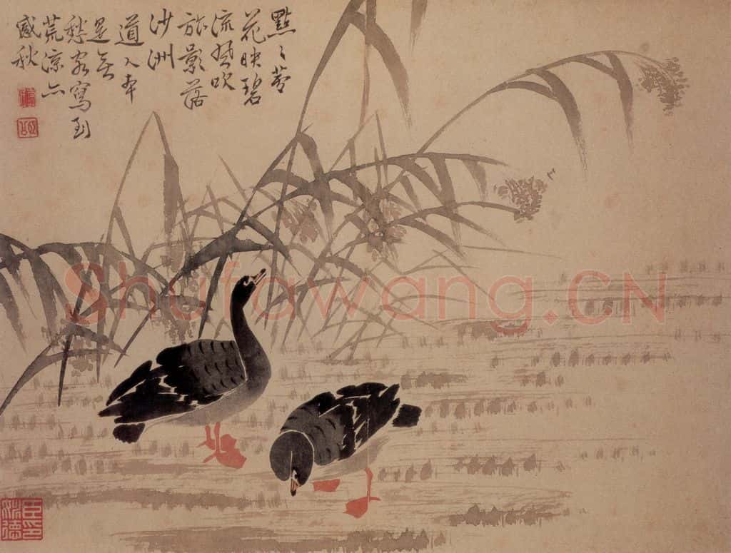  边寿民《芦雁图册》书画作品