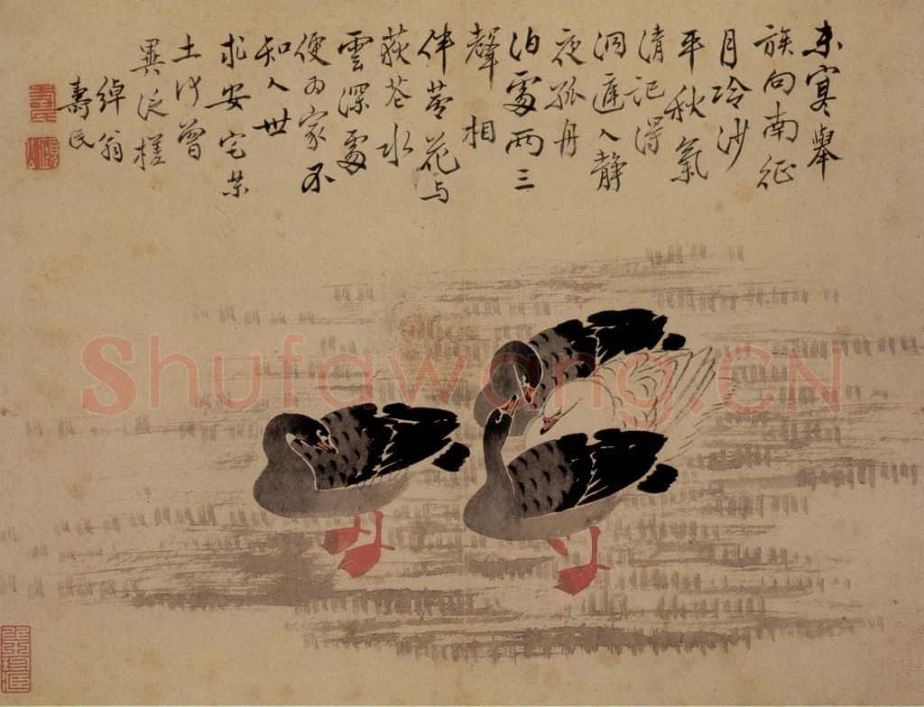 边寿民《芦雁图册》书画作品