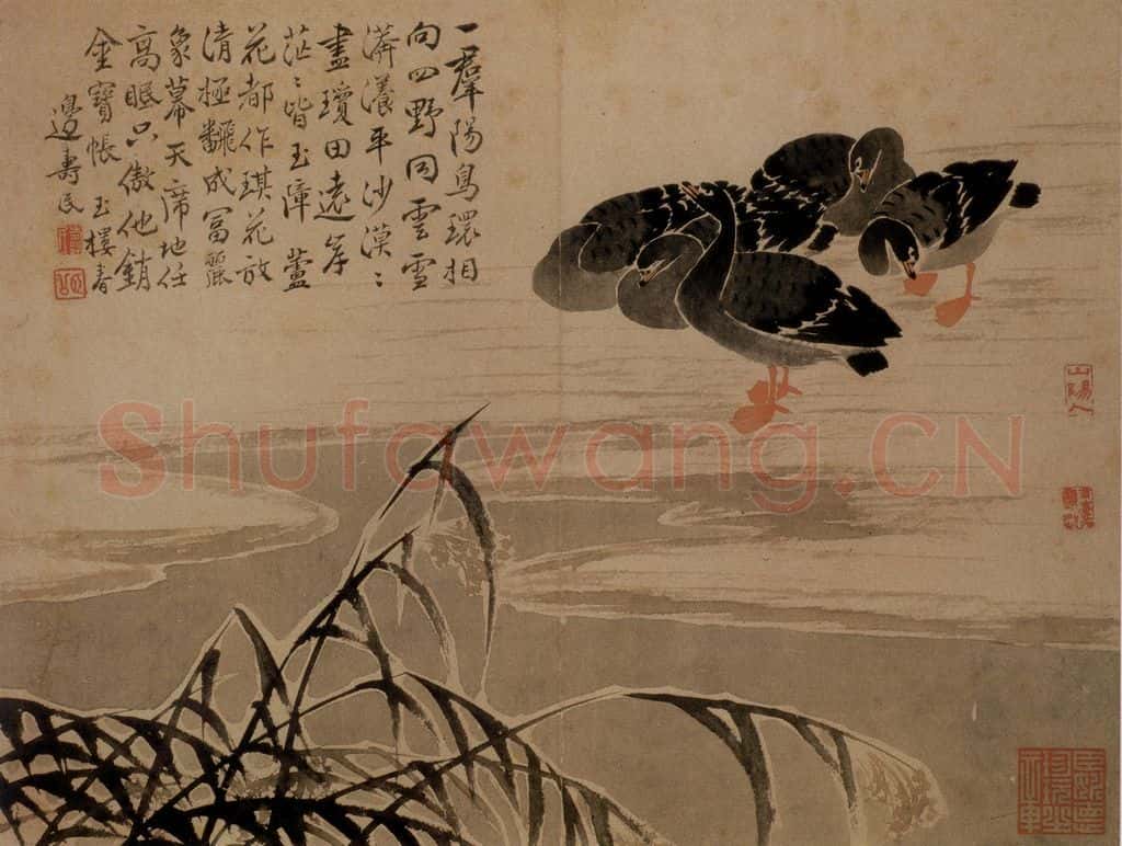 边寿民《芦雁图册》书画作品