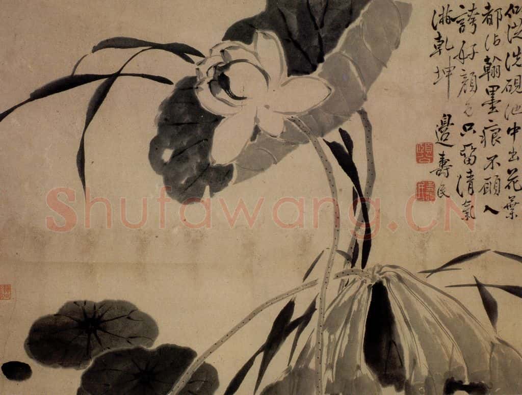 边寿民《荷花图》书画作品