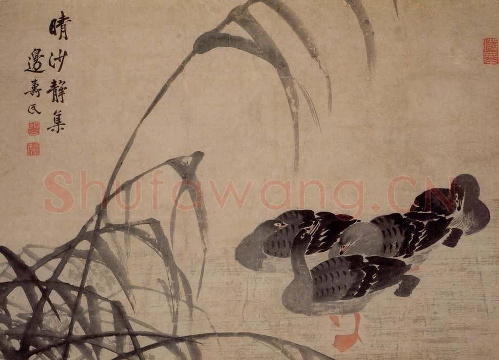 边寿民《晴沙静集图》书画作品