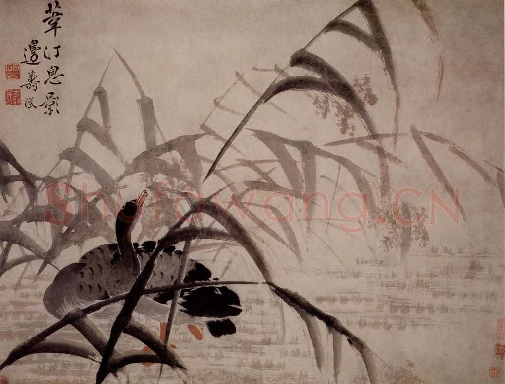 边寿民《苇汀息影图》书画作品