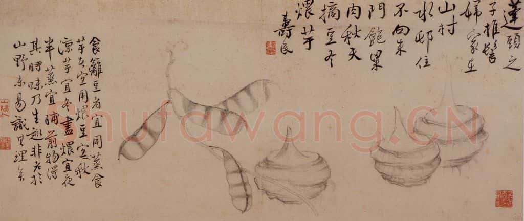 边寿民《杂画册》书画作品