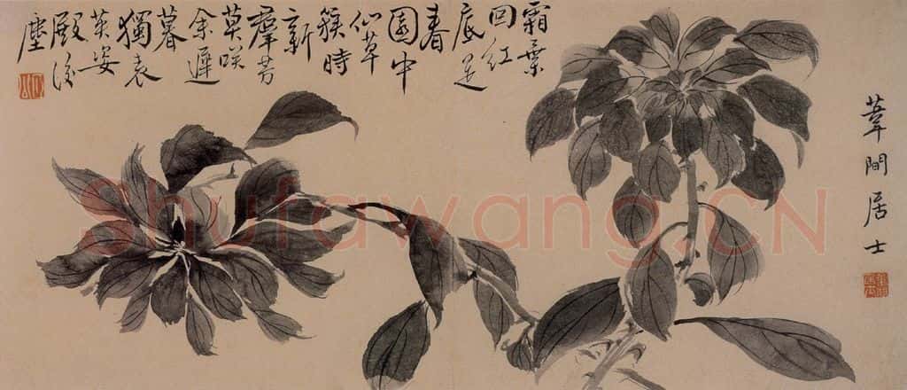 边寿民《杂画册》书画作品