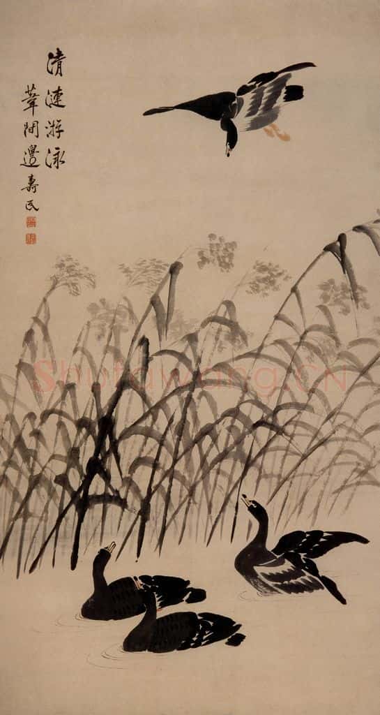 边寿民《清涟游泳图》书画作品