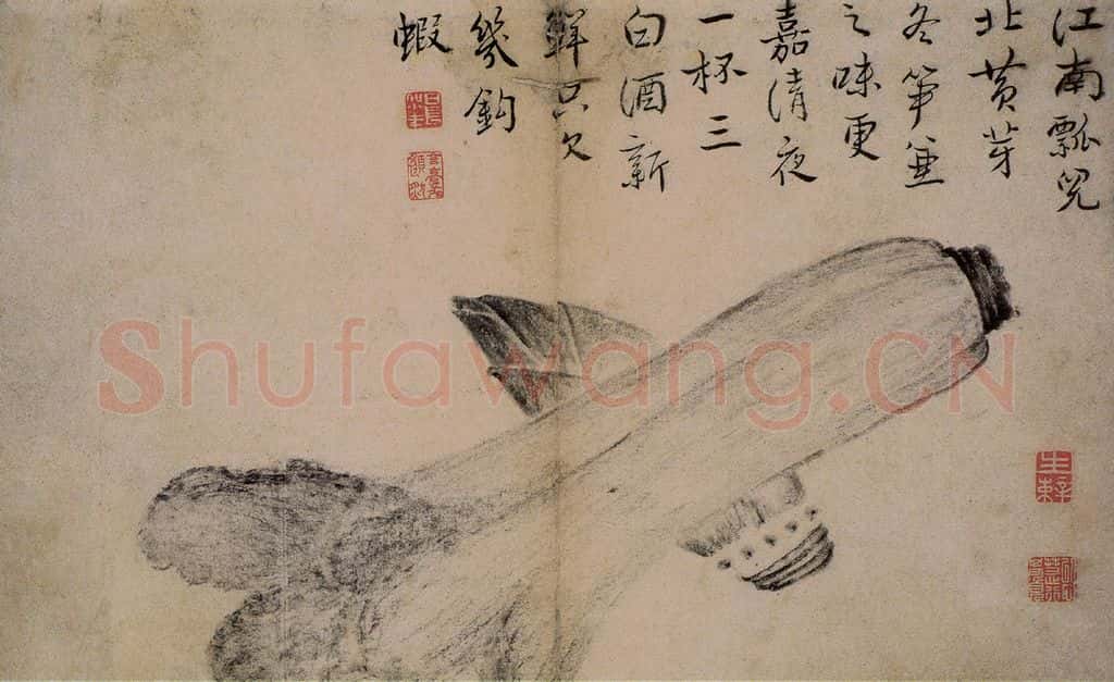 1725年 边寿民《蔬果册》书画作品