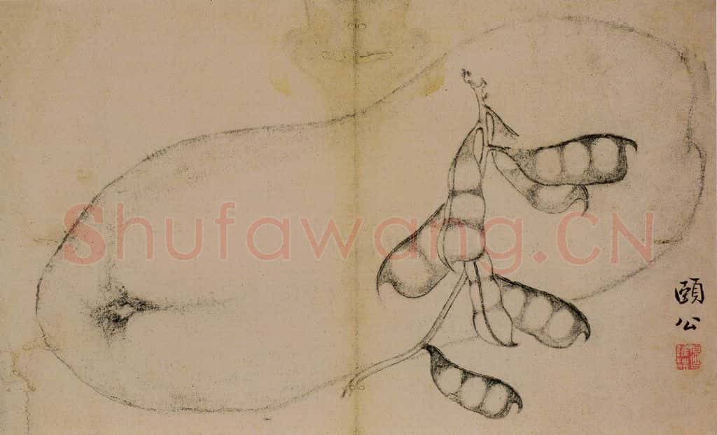 1728年 边寿民《蔬果册》书画作品
