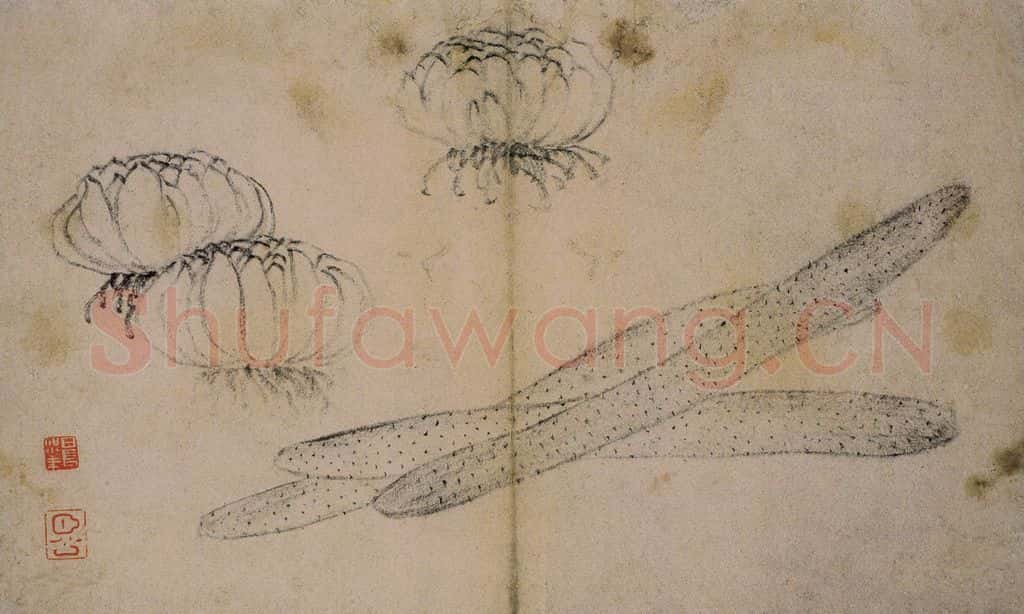 1728年 边寿民《蔬果册》书画作品
