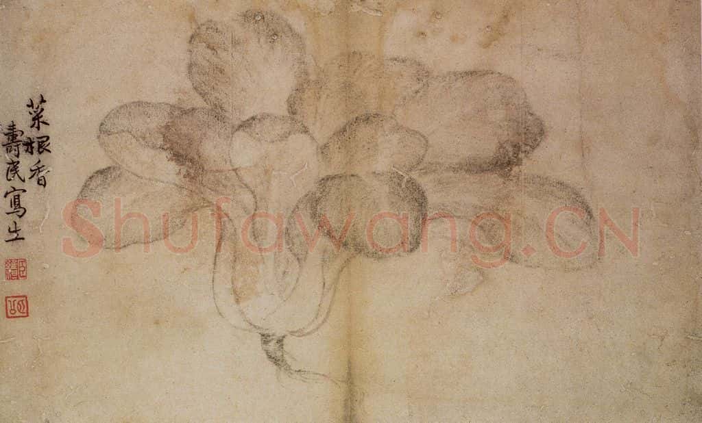 1728年 边寿民《蔬果册》书画作品