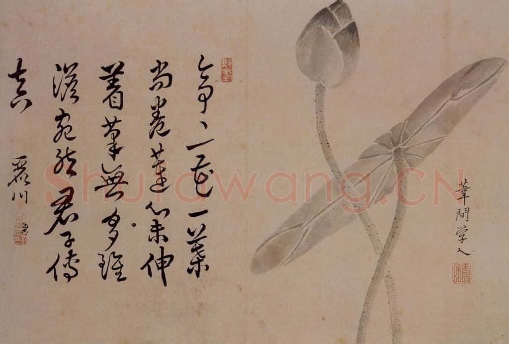 1732年 边寿民《杂画册》书画作品