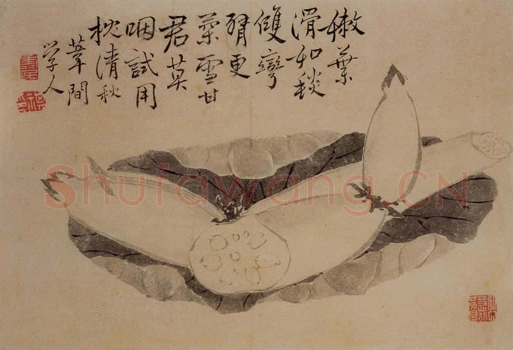 1732年 边寿民《杂画册》书画作品