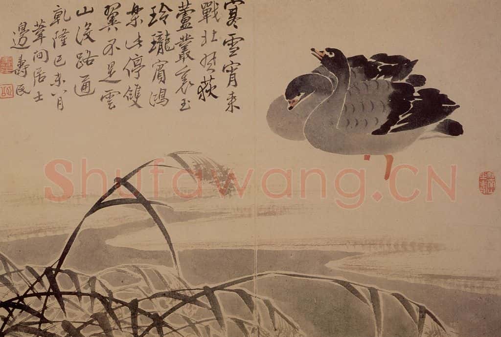 1739年 边寿民《芦雁花卉册》书画作品