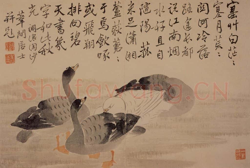 1739年 边寿民《芦雁花卉册》书画作品