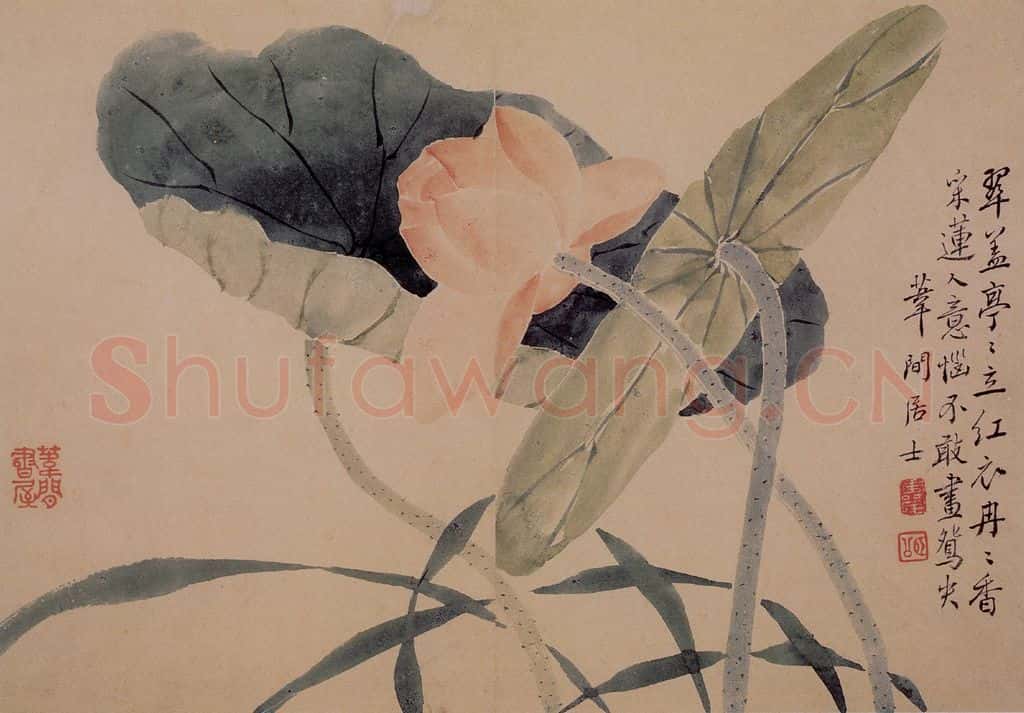 1739年 边寿民《芦雁花卉册》书画作品