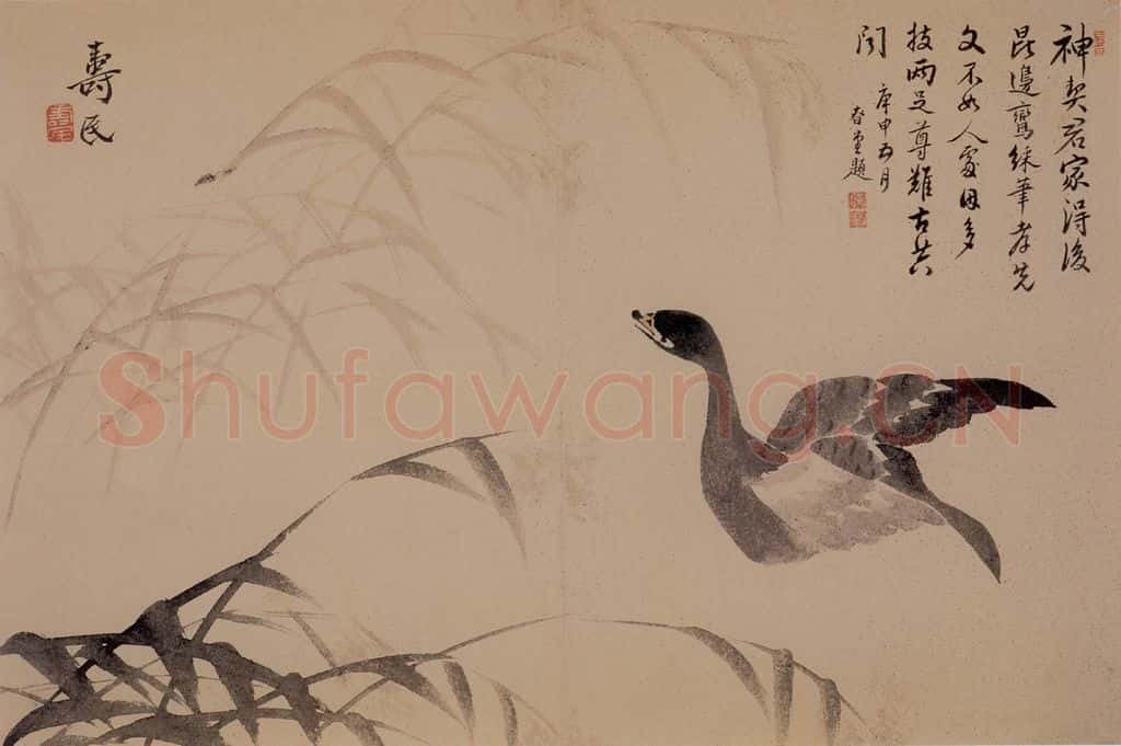 1739年 边寿民《芦雁花卉册》书画作品