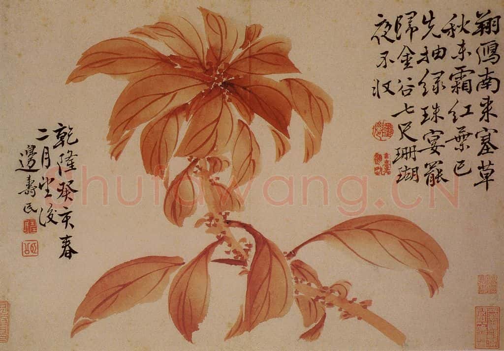 1743年 边寿民《杂画册》书画作品