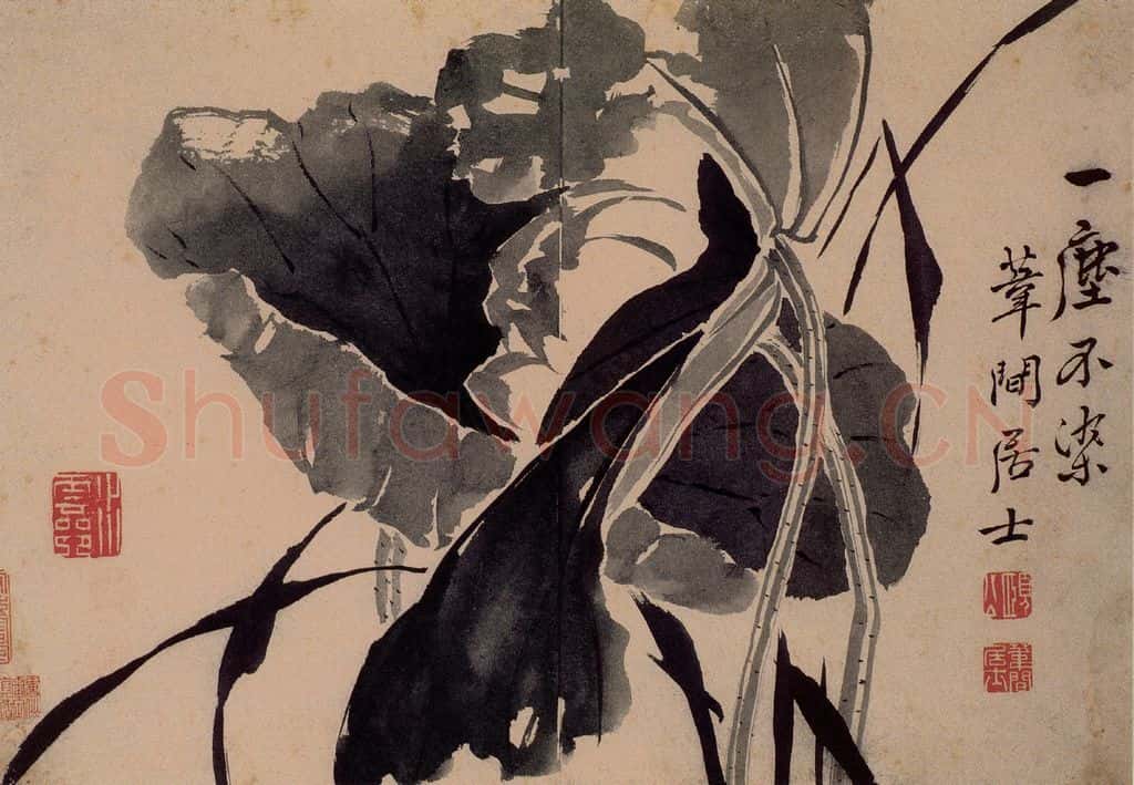 1743年 边寿民《杂画册》书画作品