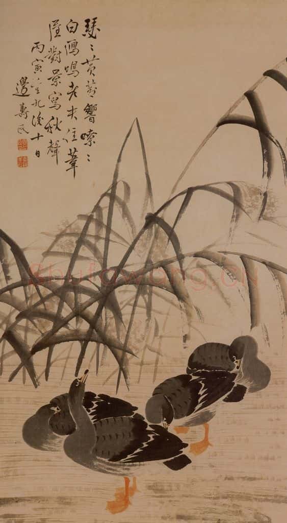 1746年 边寿民《黄芦白雁图》书画作品