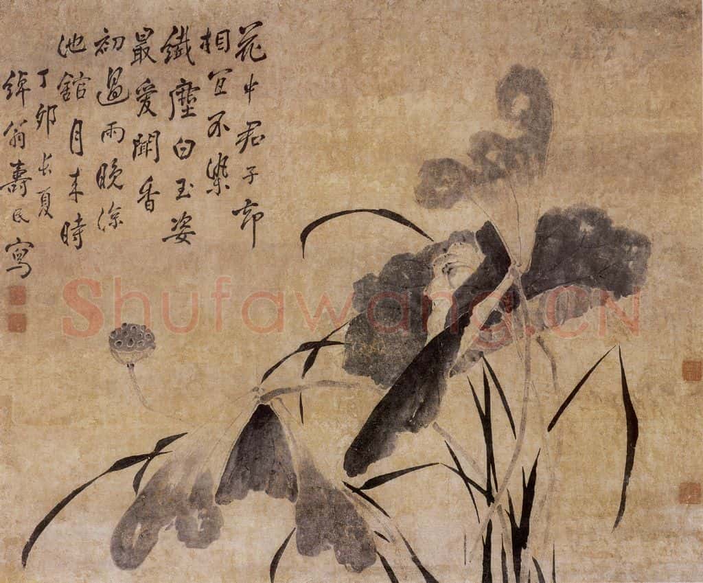 1747年 边寿民《墨荷图》书画作品