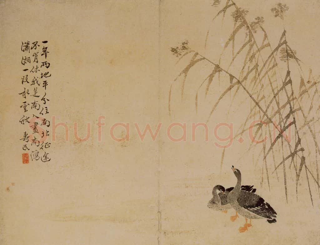 1748年 边寿民《芦雁图册》书画作品