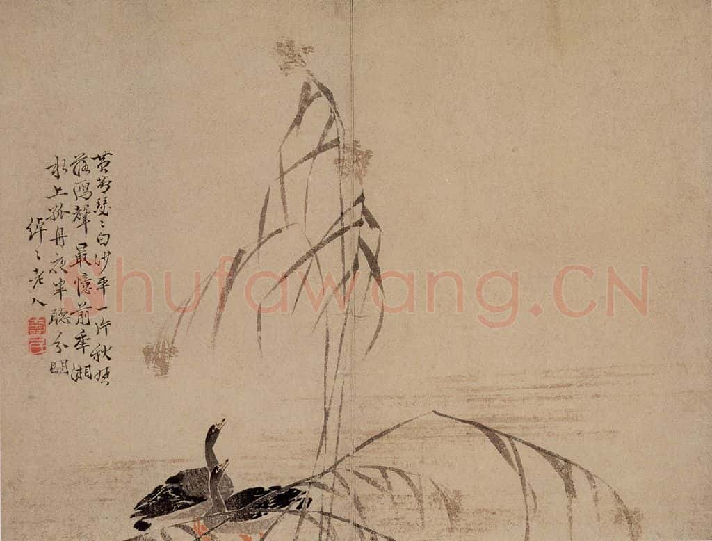 1748年 边寿民《芦雁图册》书画作品