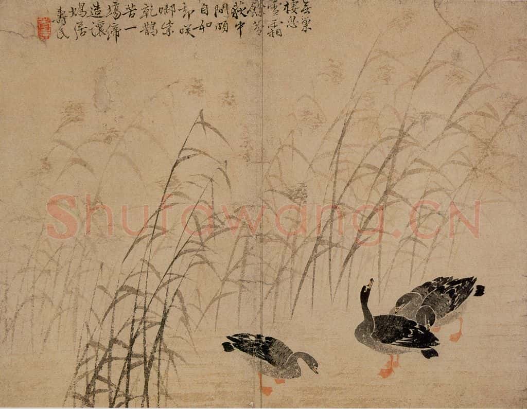 1748年 边寿民《芦雁图册》书画作品