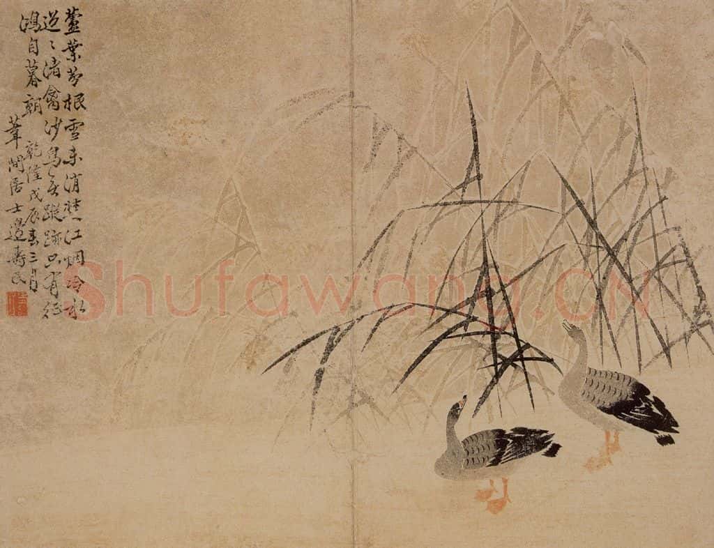1748年 边寿民《芦雁图册》书画作品