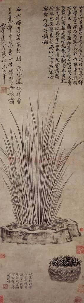 清 罗聘《菖蒲图》书画作品