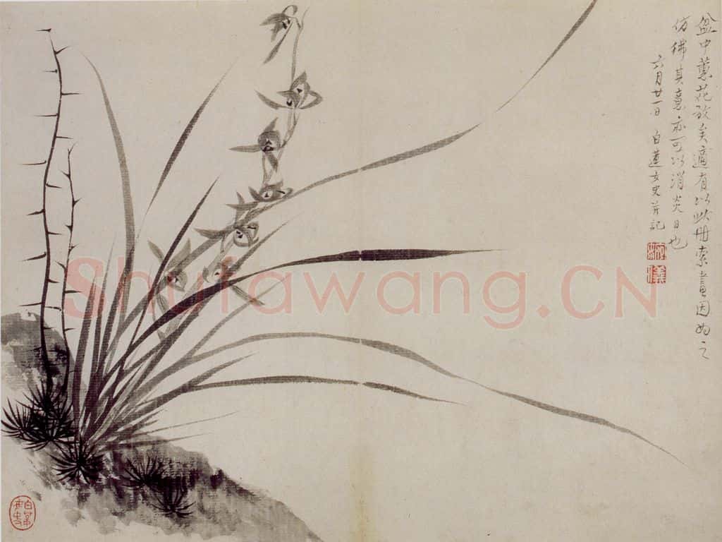 清 罗聘《师弟合璧册》书画作品