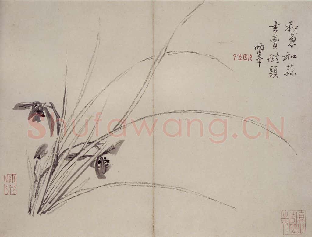 清 罗聘《兰花册》书画作品