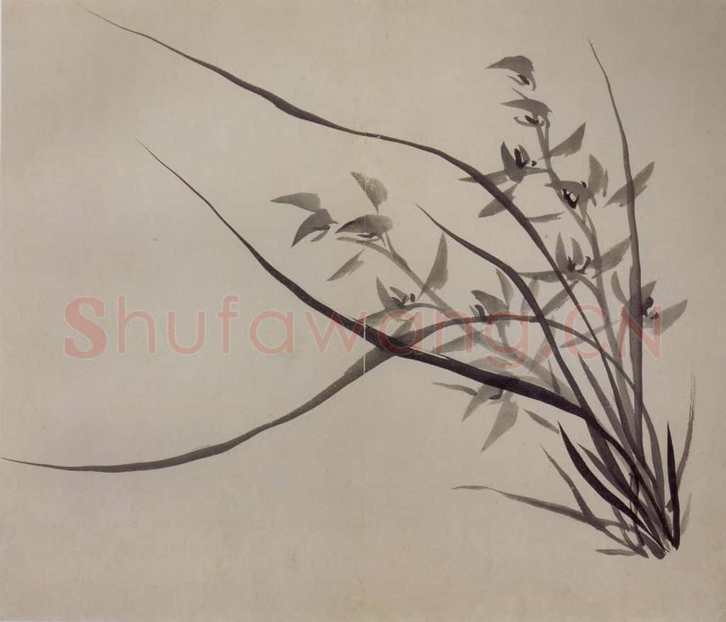 清 罗聘《兰竹图册》书画作品