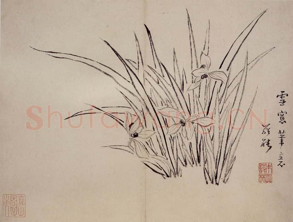 清 罗聘《兰花册》书画作品