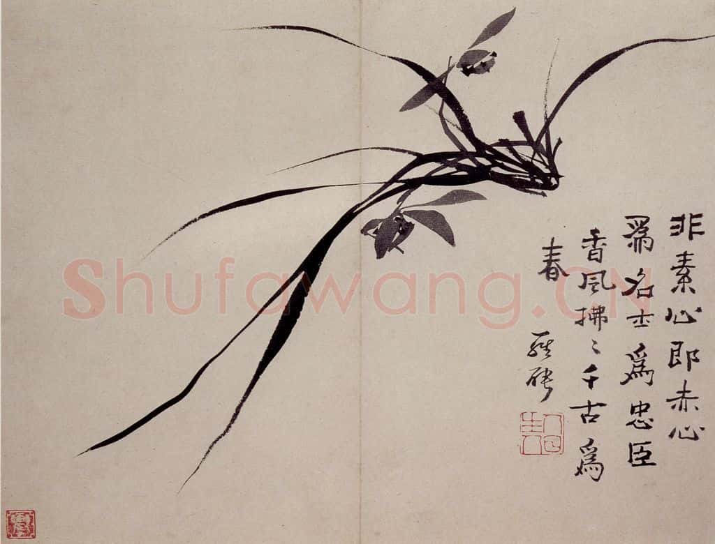 清 罗聘《兰花册》书画作品